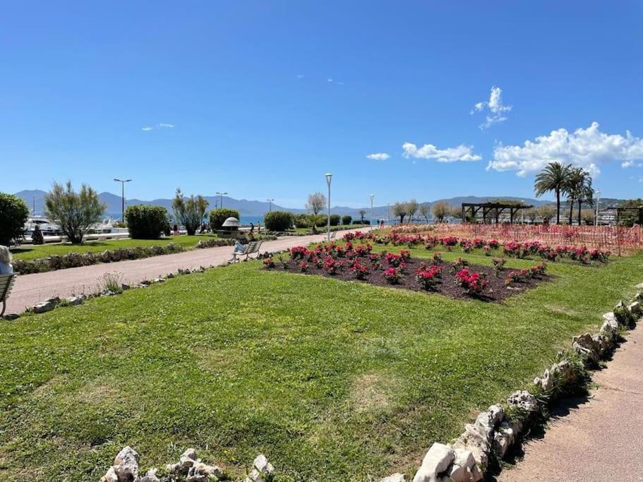 Appart/Palm Beach/ Cannes Extérieur photo